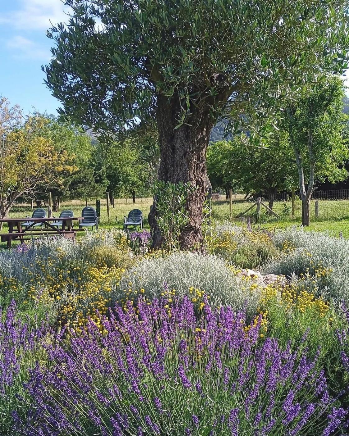Casa Rural Nasares San Juan de Parres Zewnętrze zdjęcie